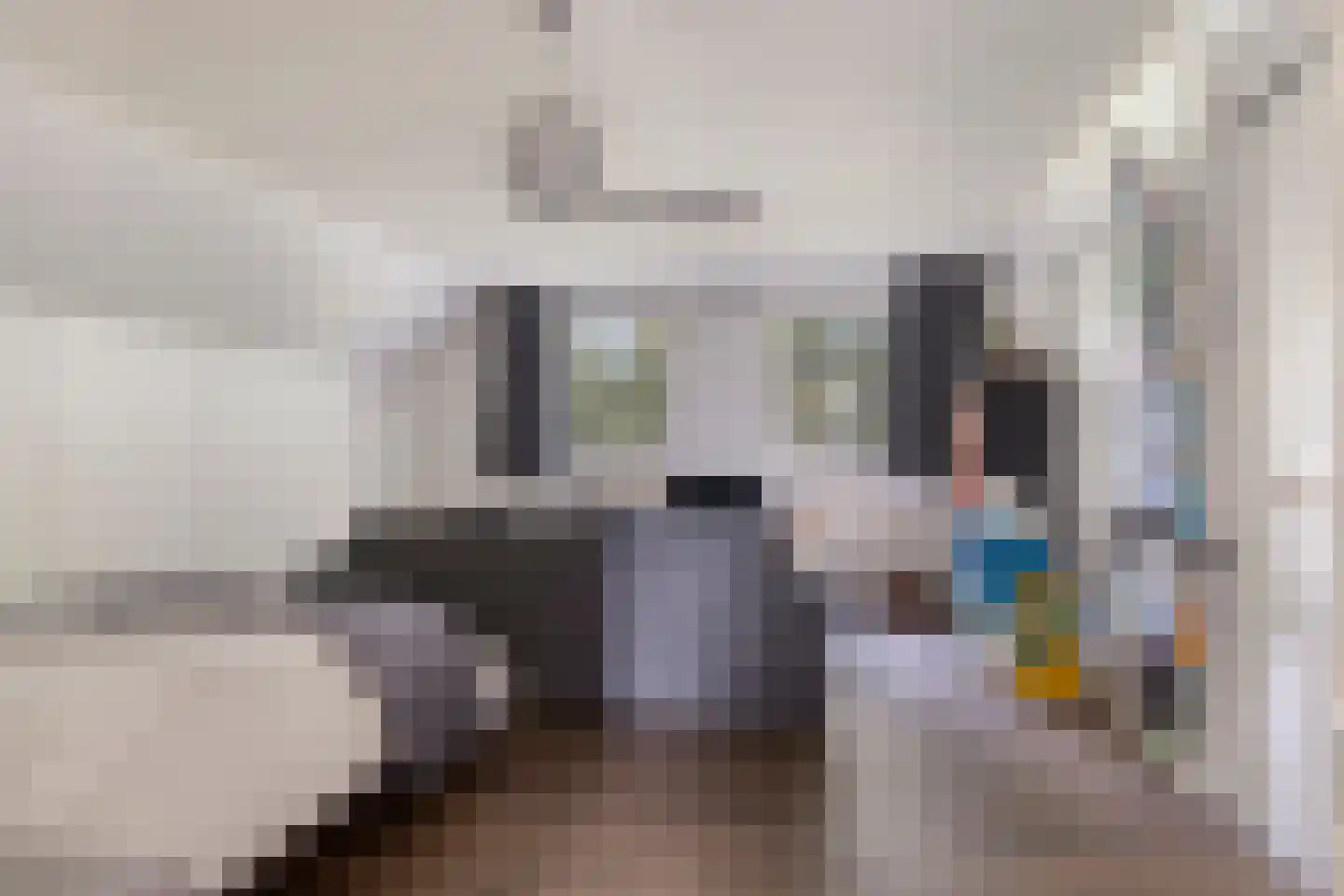 Knotwilgendreef 17 Kamperland thumbnail 27