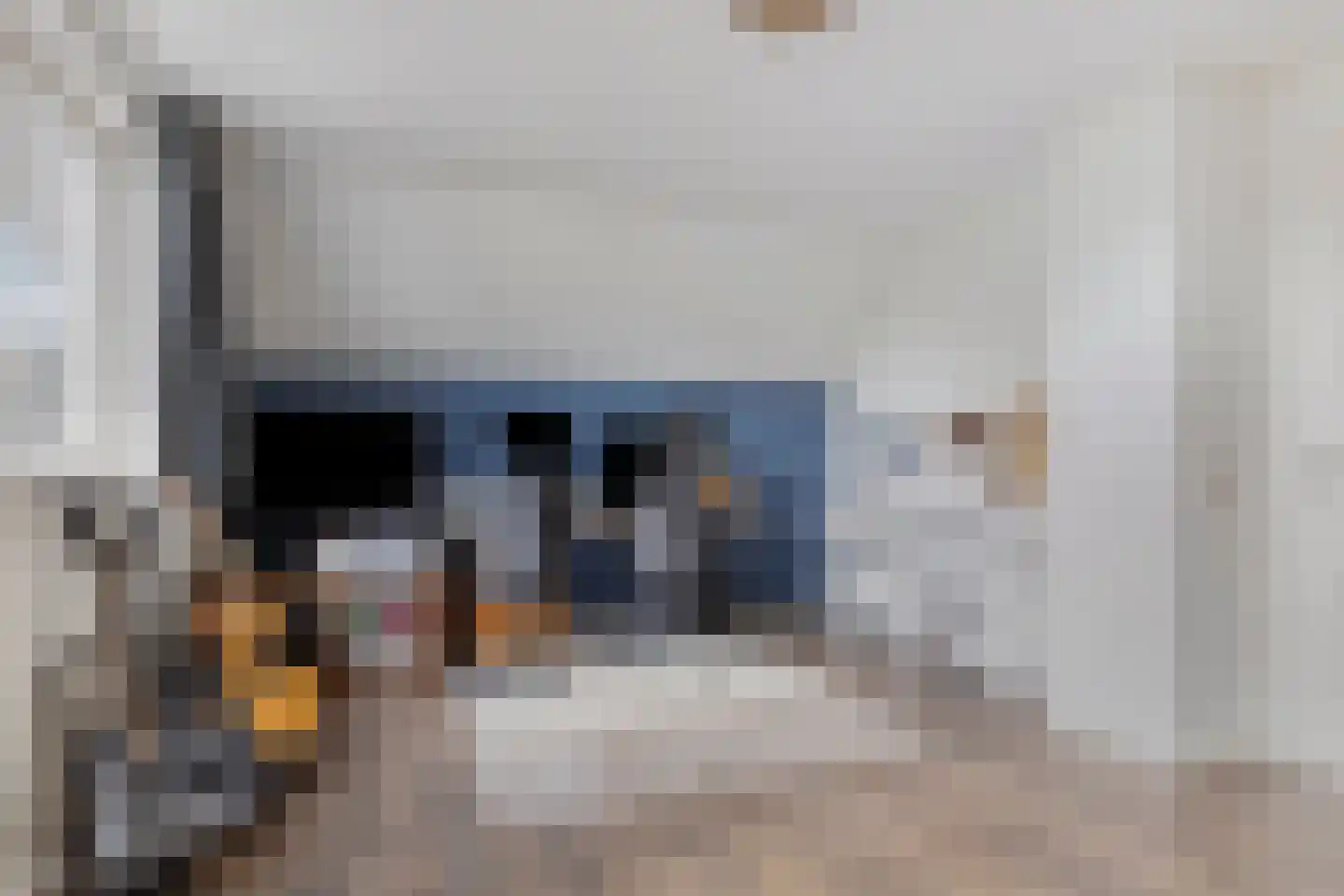 Knotwilgendreef 17 Kamperland thumbnail 29