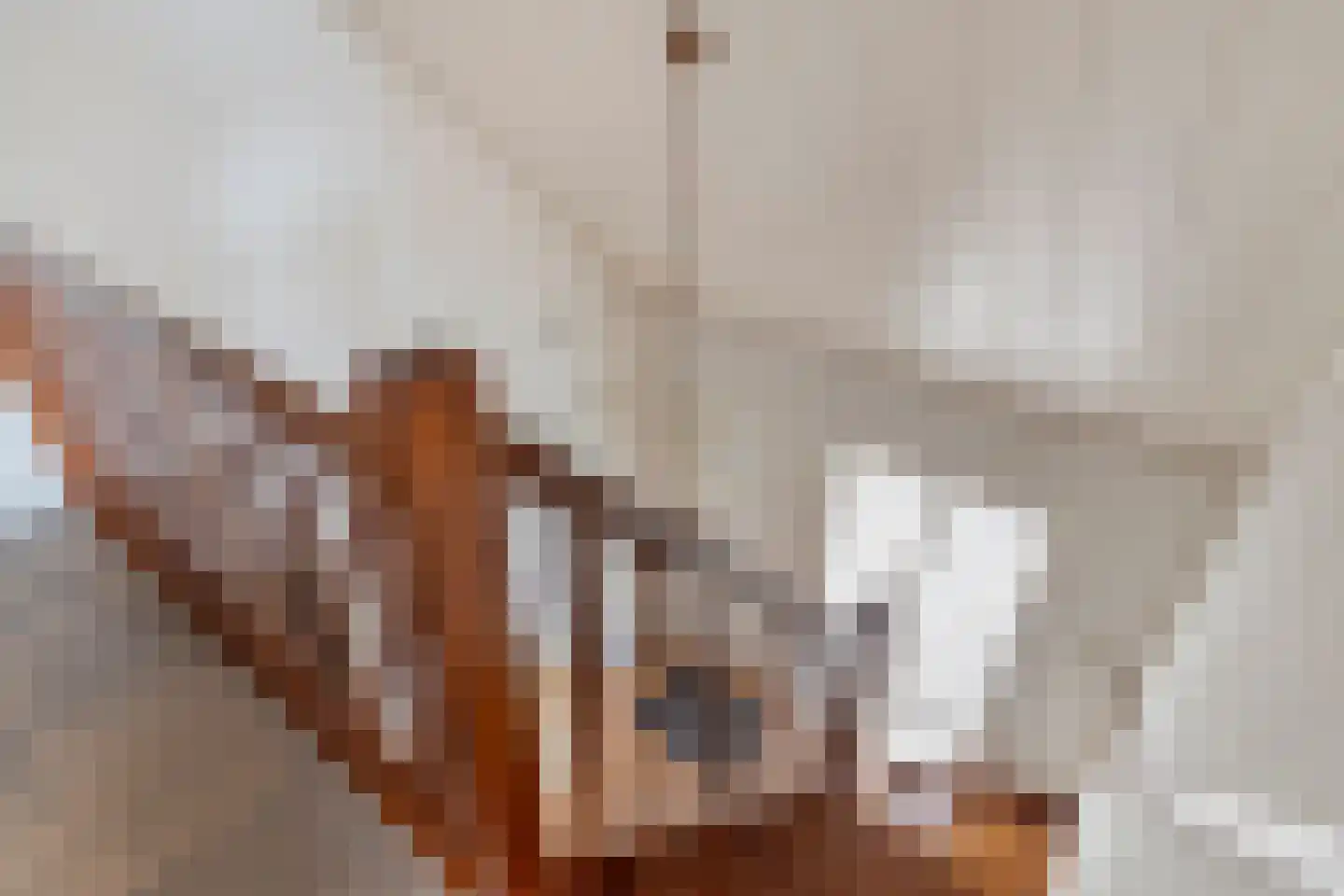 Knotwilgendreef 17 Kamperland thumbnail 35