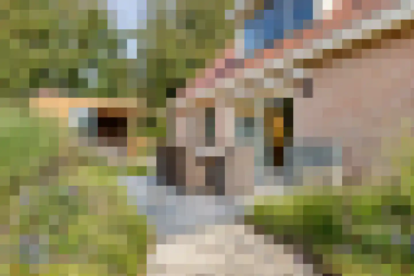 Knotwilgendreef 17 Kamperland thumbnail 36