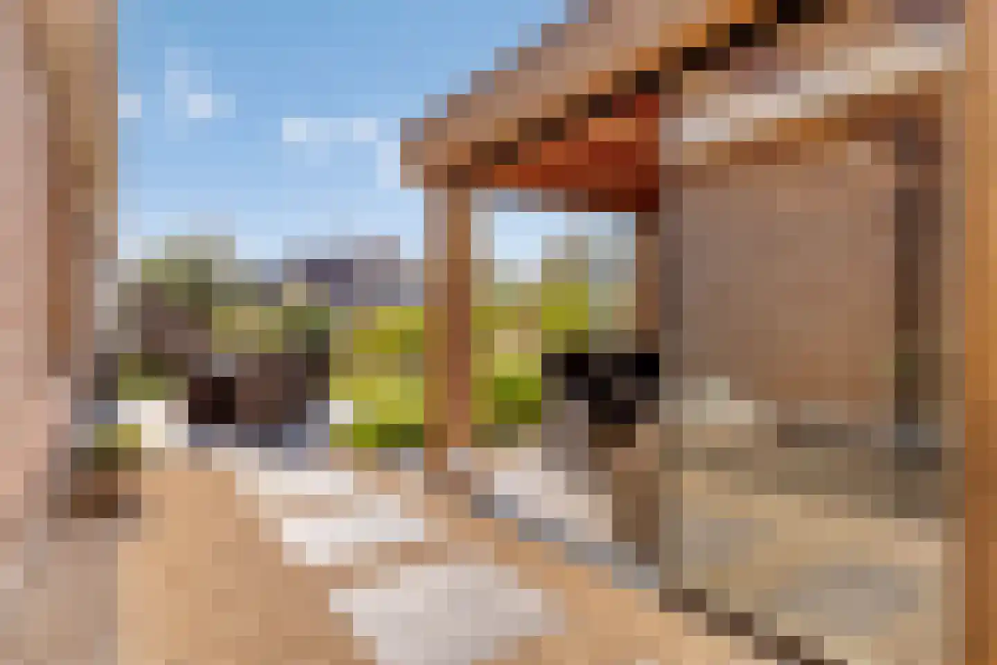 Knotwilgendreef 17 Kamperland thumbnail 37