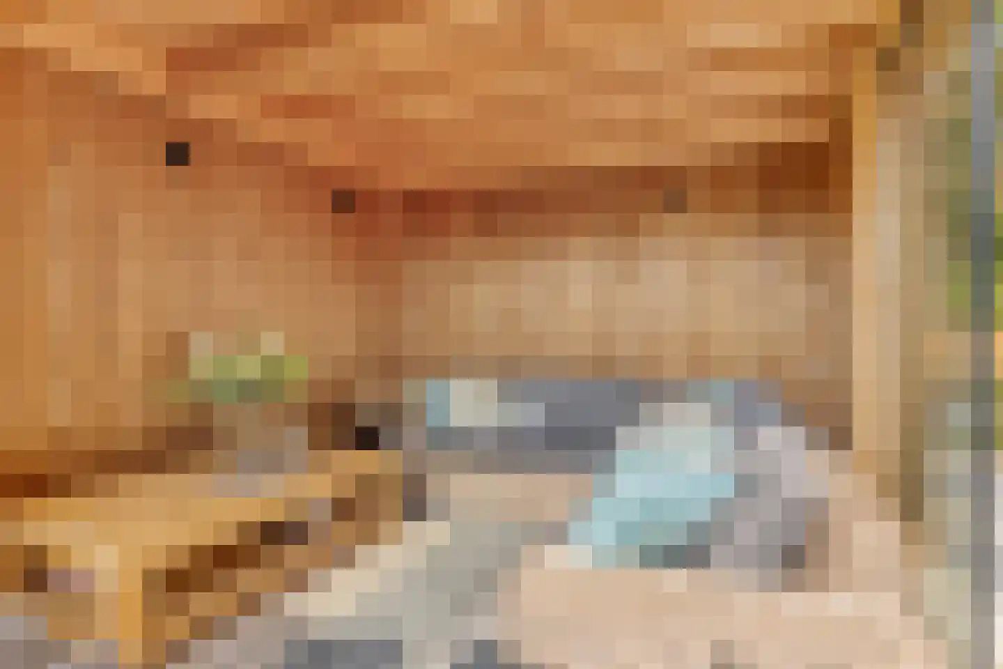 Knotwilgendreef 17 Kamperland thumbnail 38