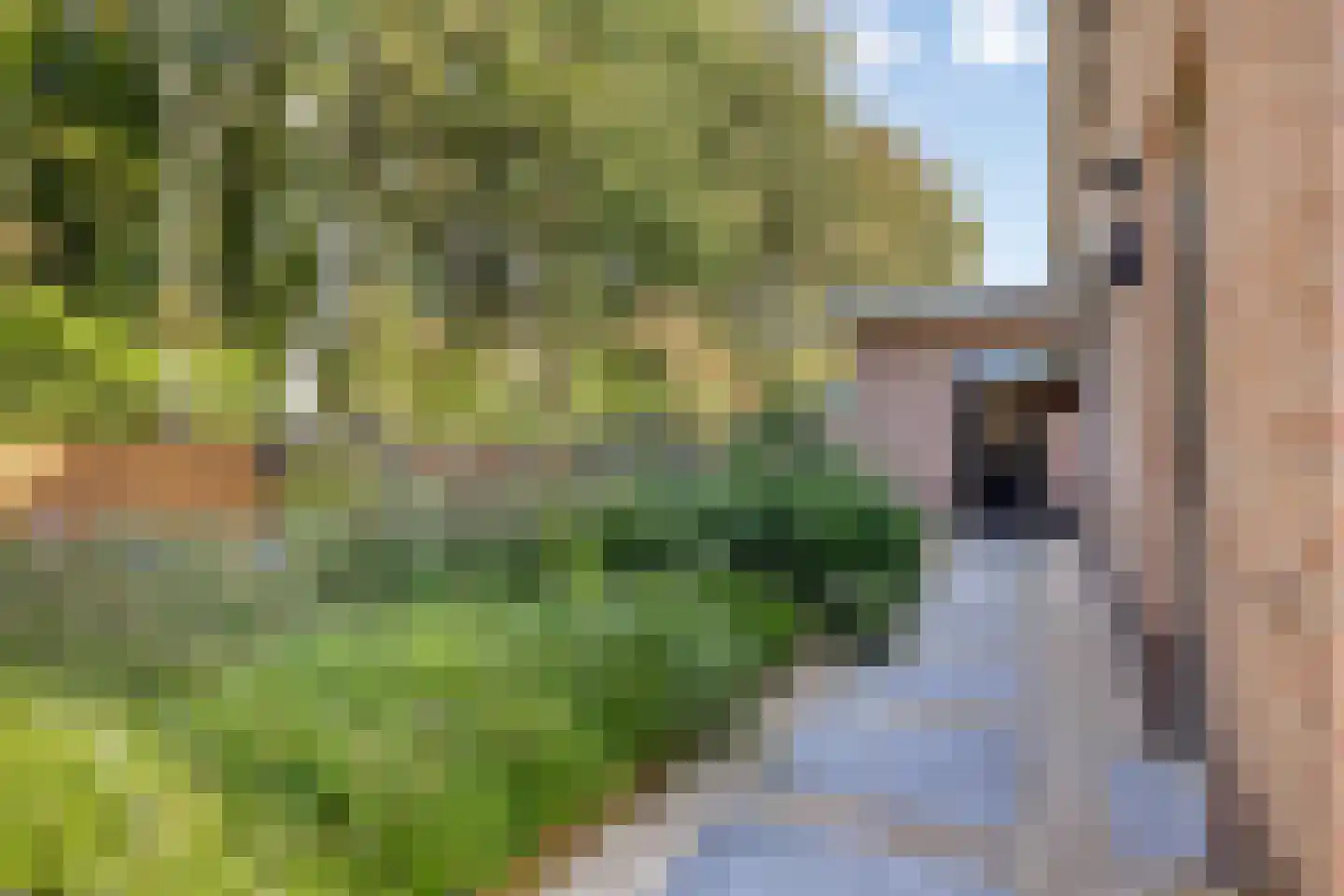 Knotwilgendreef 17 Kamperland thumbnail 39