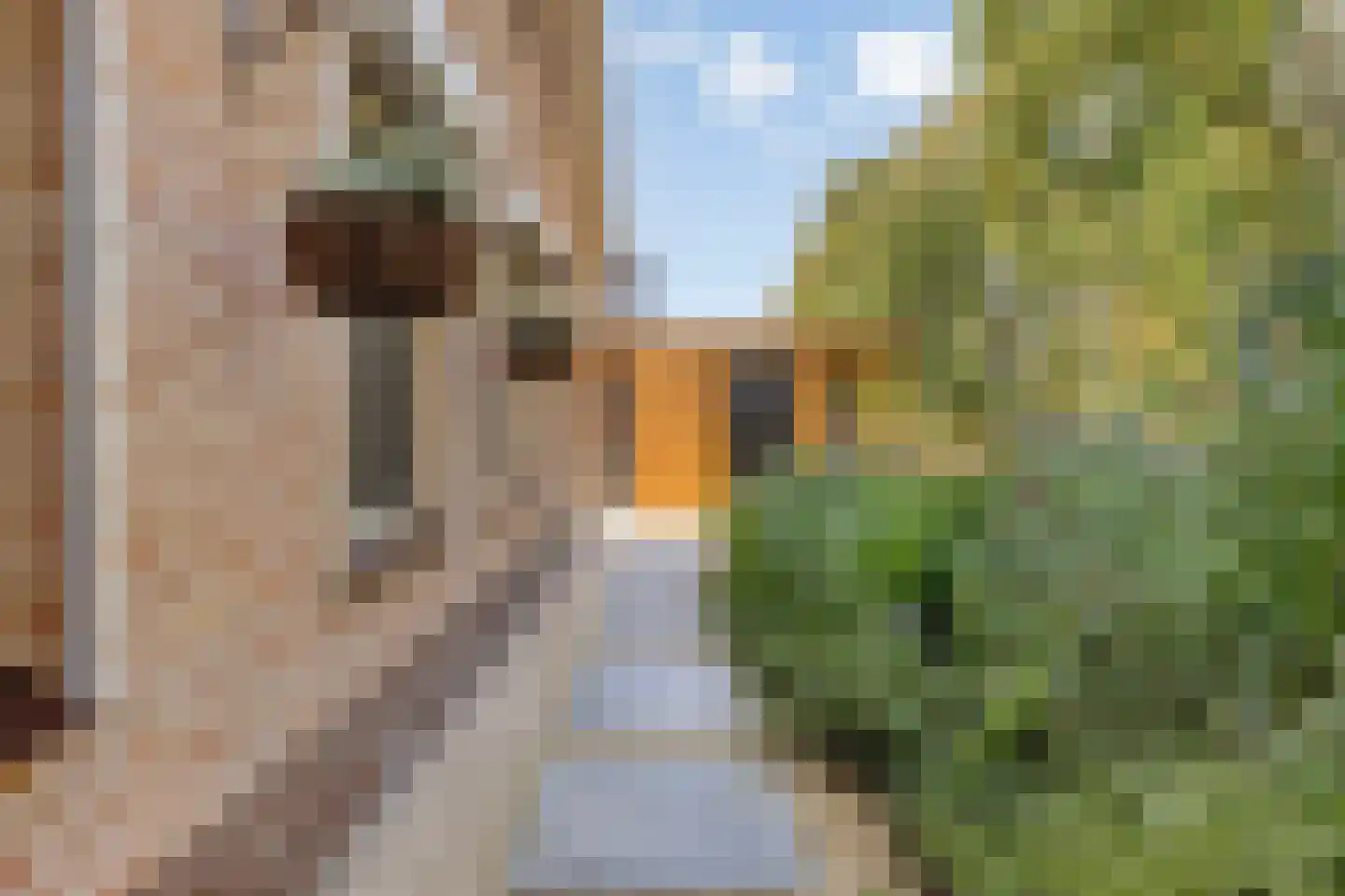 Knotwilgendreef 17 Kamperland thumbnail 40