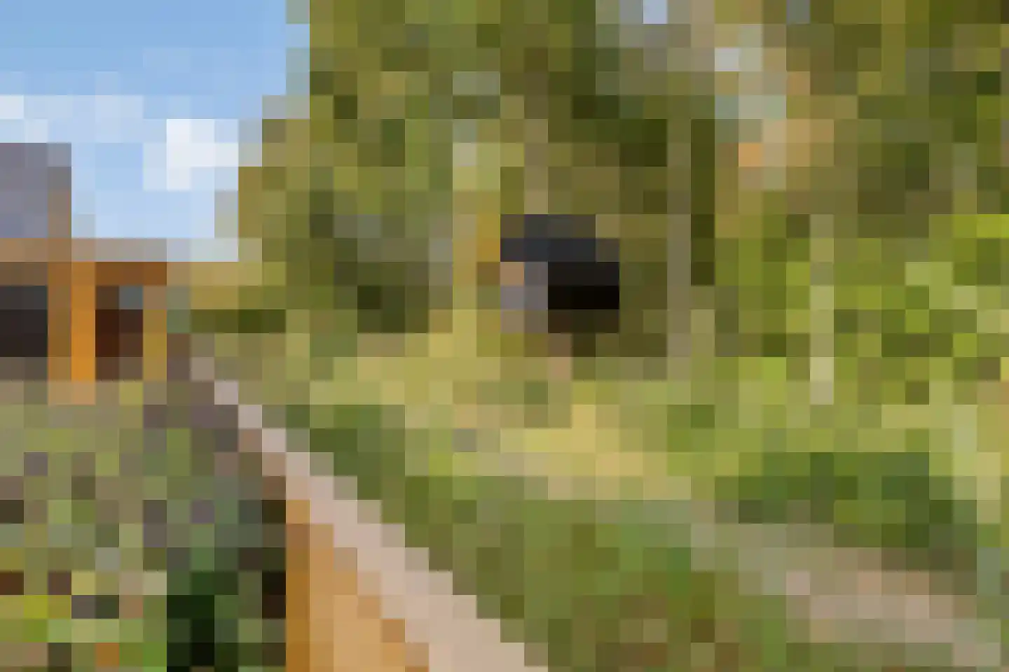 Knotwilgendreef 17 Kamperland thumbnail 41
