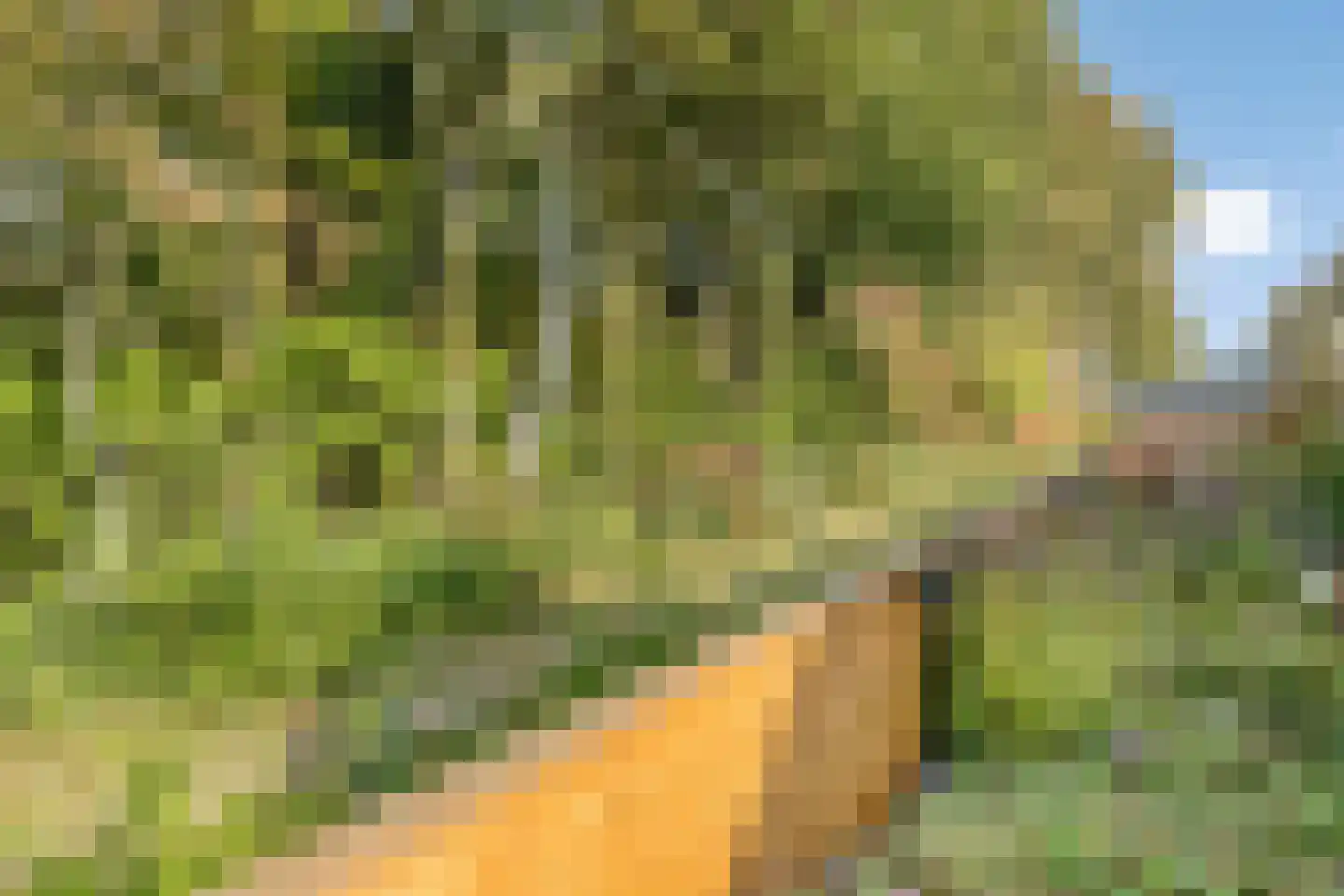 Knotwilgendreef 17 Kamperland thumbnail 42