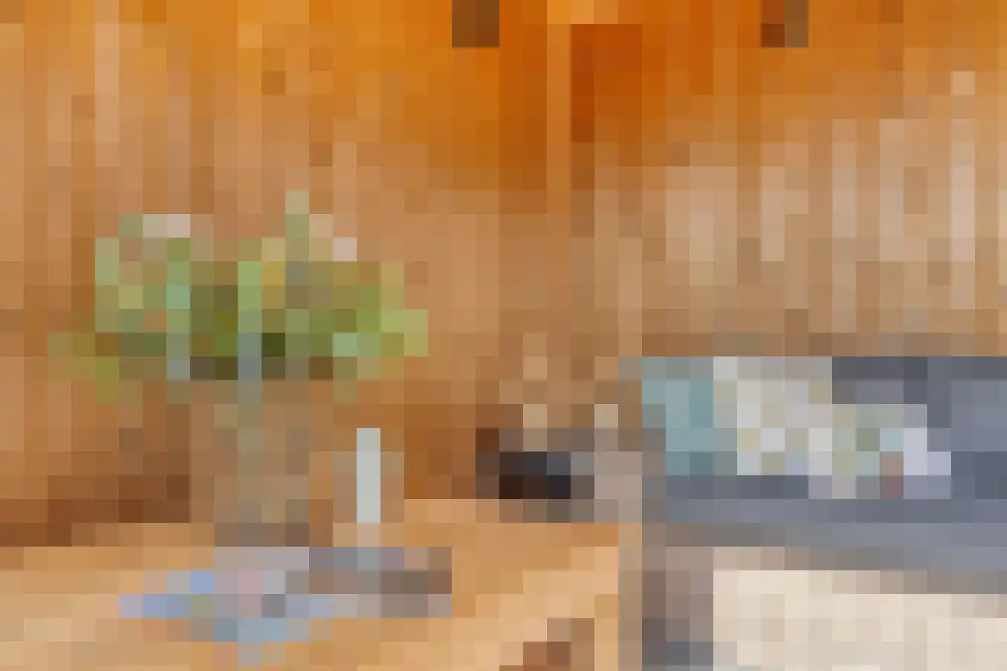 Knotwilgendreef 17 Kamperland thumbnail 43