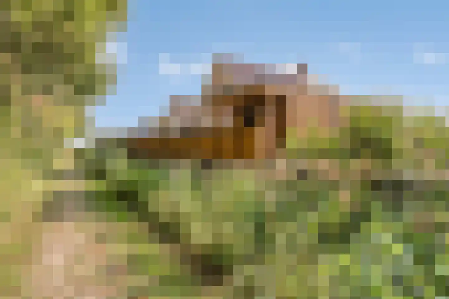Knotwilgendreef 17 Kamperland thumbnail 46