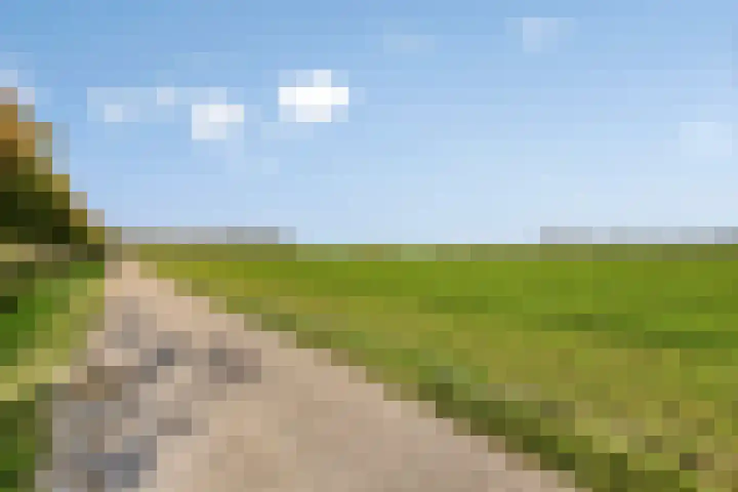 Knotwilgendreef 17 Kamperland thumbnail 47