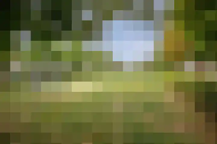 Knotwilgenstraat 4 Schoonhoven thumbnail 36