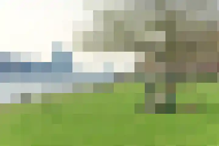 KNSM-laan 12 Amsterdam thumbnail 19