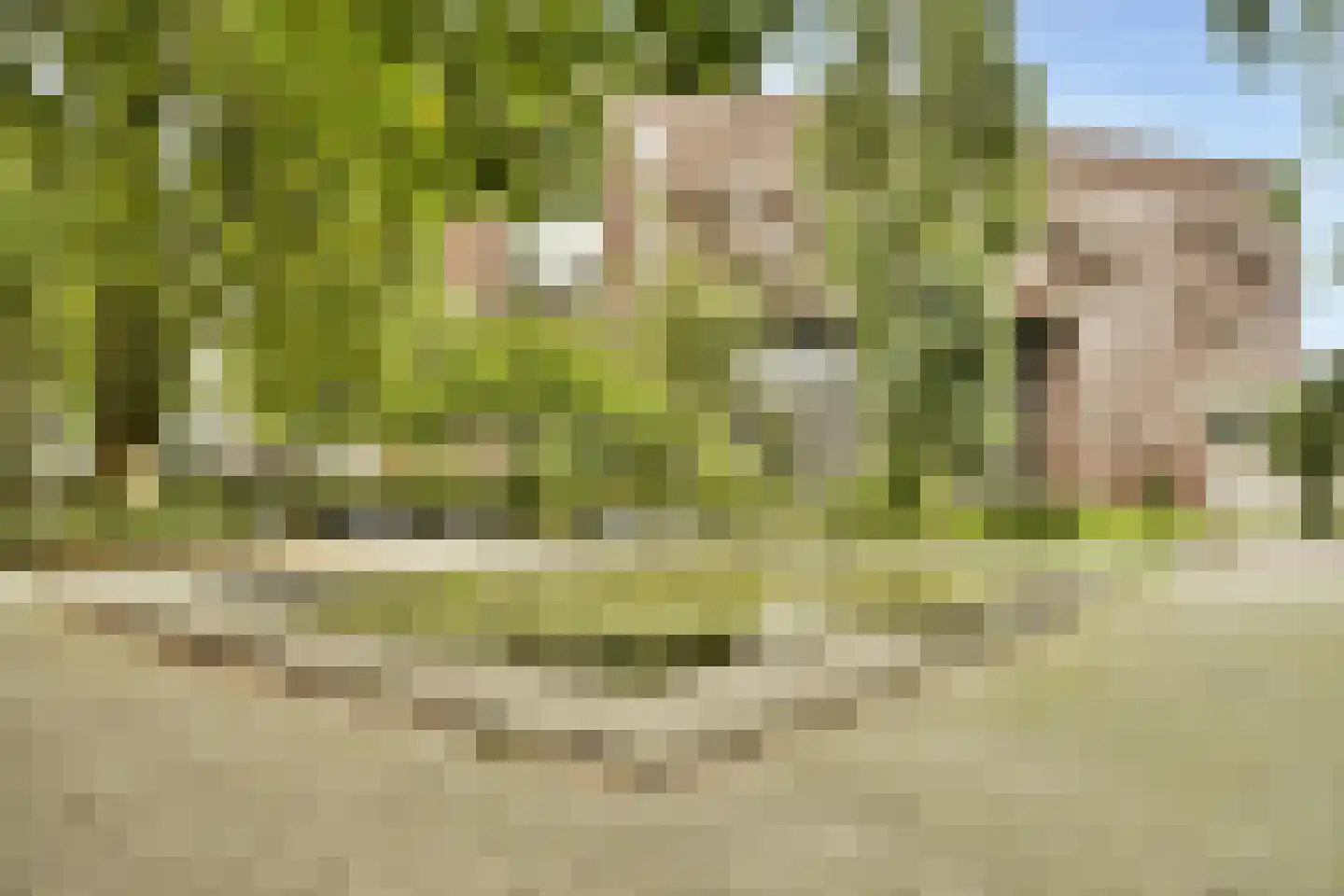 KNSM-laan 30 Amsterdam thumbnail 26