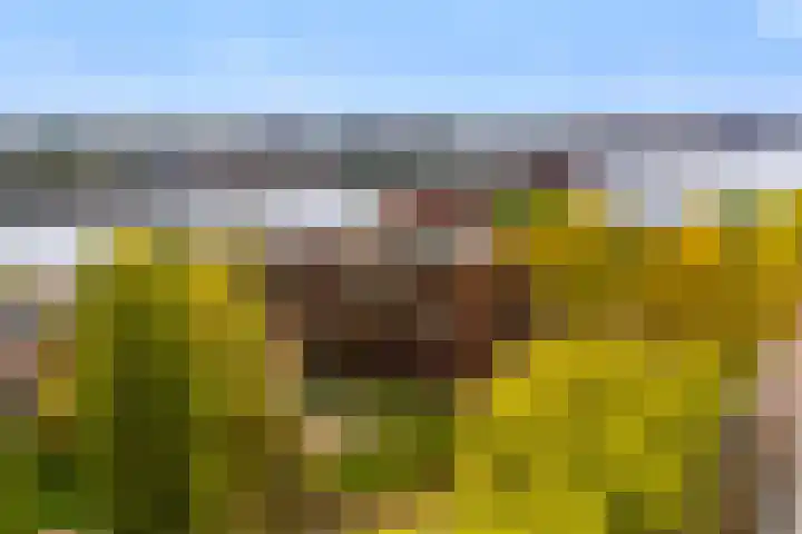 KNSM-laan 34 Amsterdam thumbnail 4