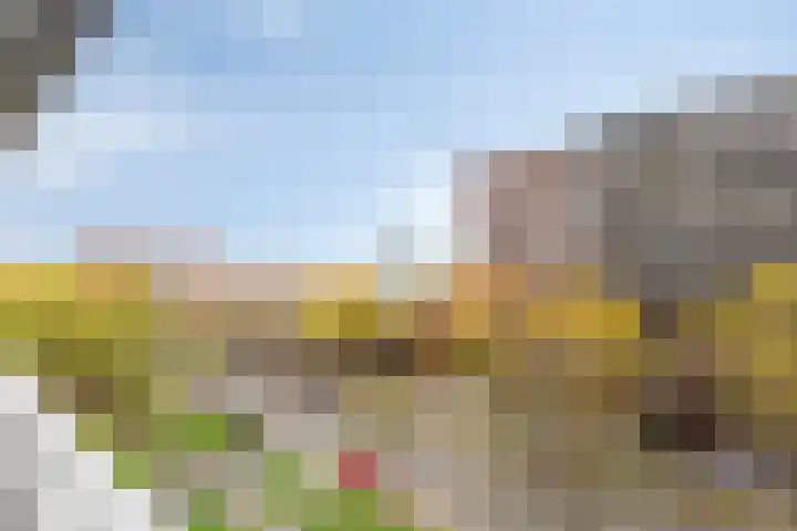 KNSM-laan 347 Amsterdam thumbnail 24