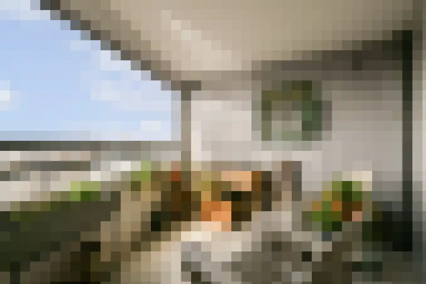 KNSM-laan 461 Amsterdam thumbnail 5