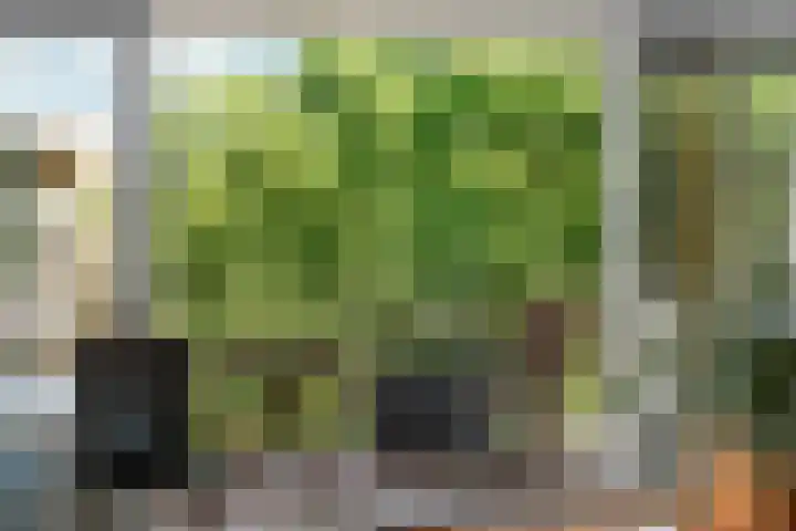KNSM-laan 653 Amsterdam thumbnail 5