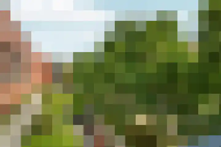 KNSM-laan 653 Amsterdam thumbnail 8
