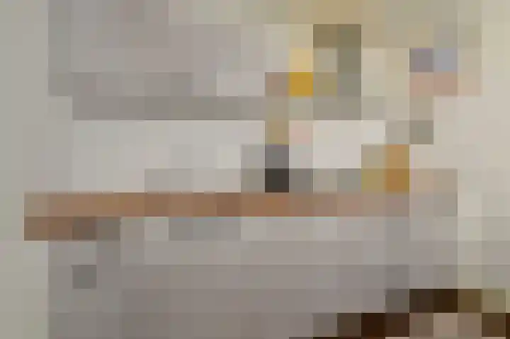 KNSM-laan 695 Amsterdam thumbnail 16