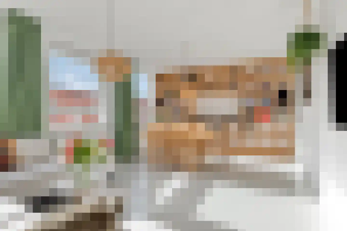 KNSM-laan 736 Amsterdam thumbnail 6