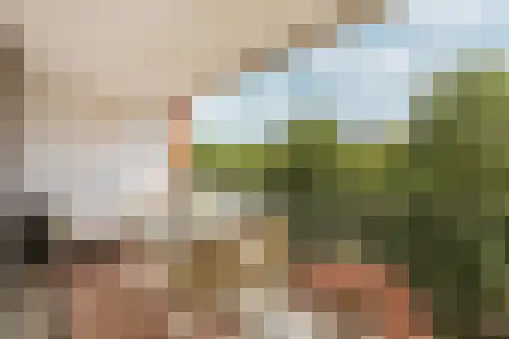 KNSM-laan 765 Amsterdam thumbnail 13