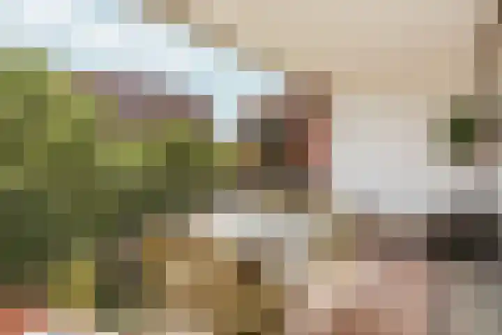 KNSM-laan 765 Amsterdam thumbnail 14