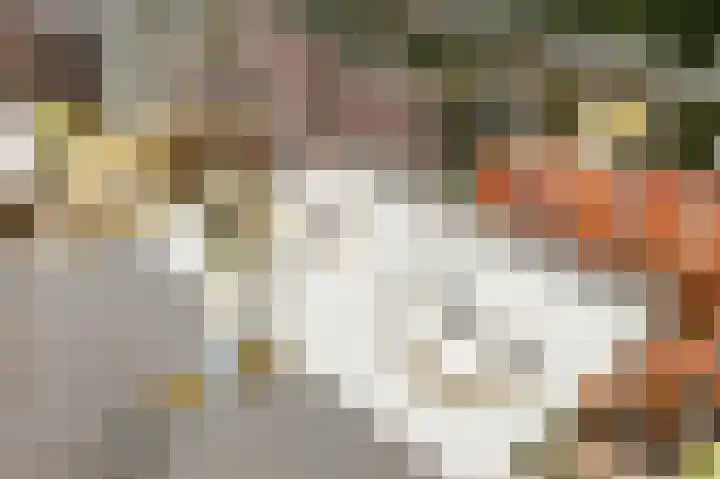KNSM-laan 765 Amsterdam thumbnail 15