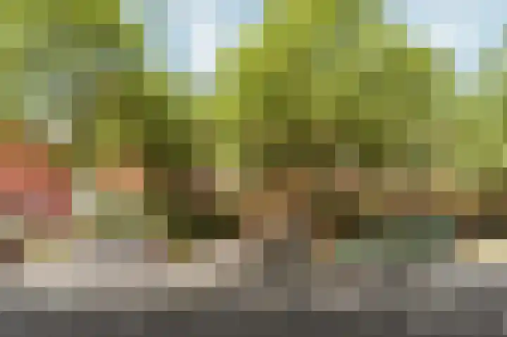 KNSM-laan 765 Amsterdam thumbnail 4