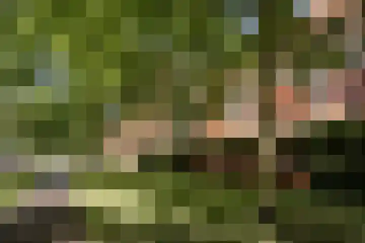KNSM-laan 777 Amsterdam thumbnail 25