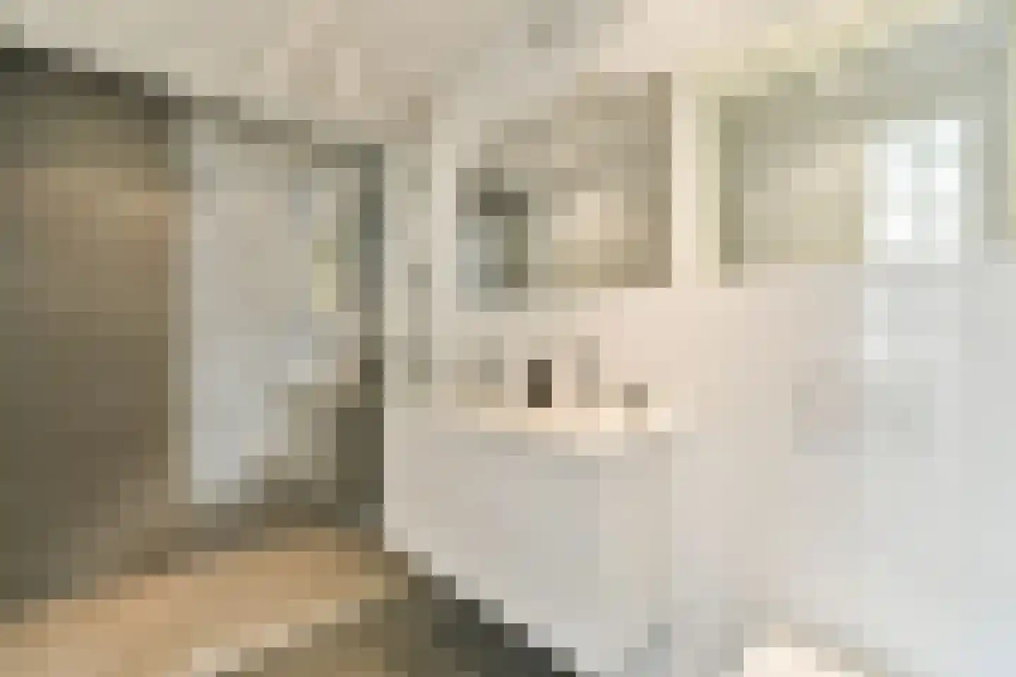 KNSM-laan 821 Amsterdam thumbnail 17