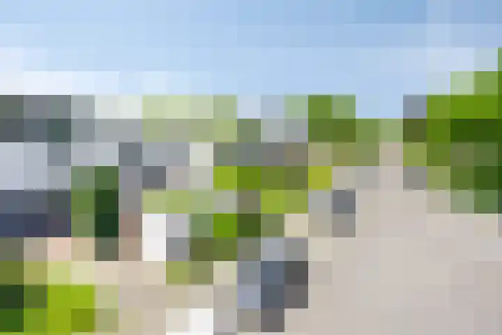 Knuppelweg 63 Amersfoort thumbnail 35