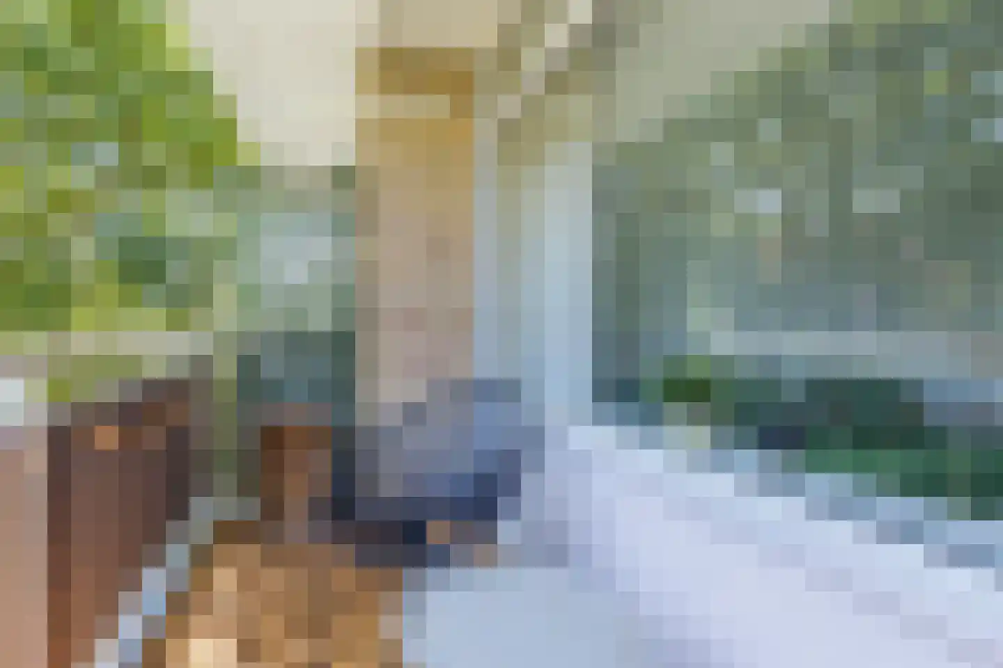 Knuttelstraat 44 Delft thumbnail 34
