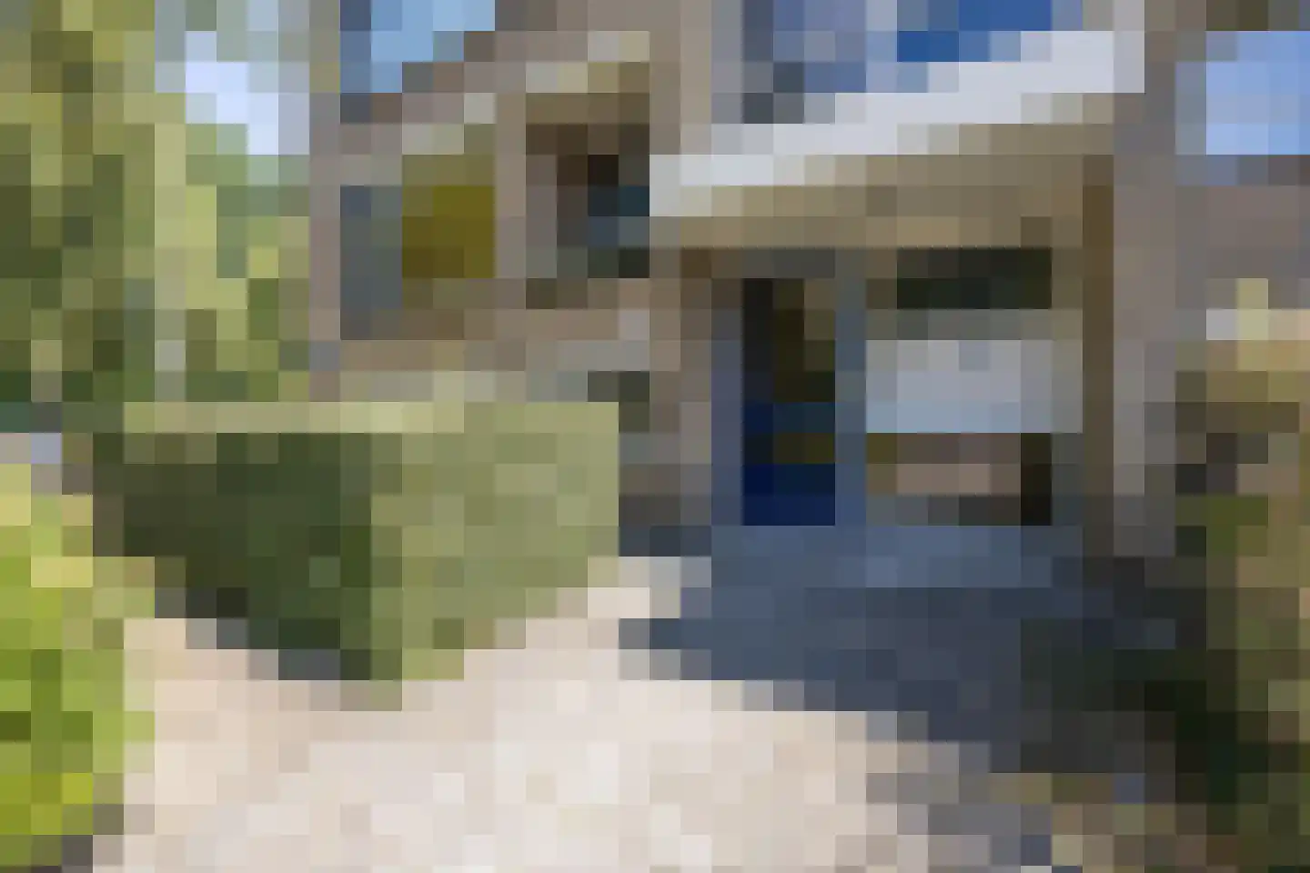 Knuttelstraat 44 Delft thumbnail 6