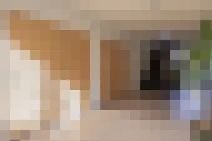 Knuvelderlaan 1 Eindhoven thumbnail 13