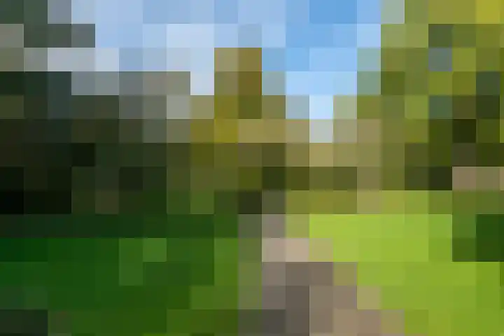 Knuvelderlaan 1 Eindhoven thumbnail 45