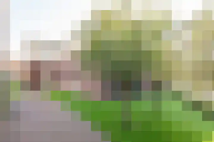 Knuvelderlaan 1 Eindhoven thumbnail 5