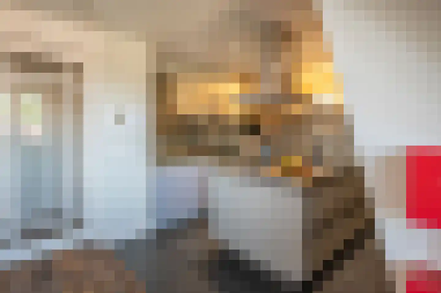 Knuvelderlaan 12 Eindhoven thumbnail 11