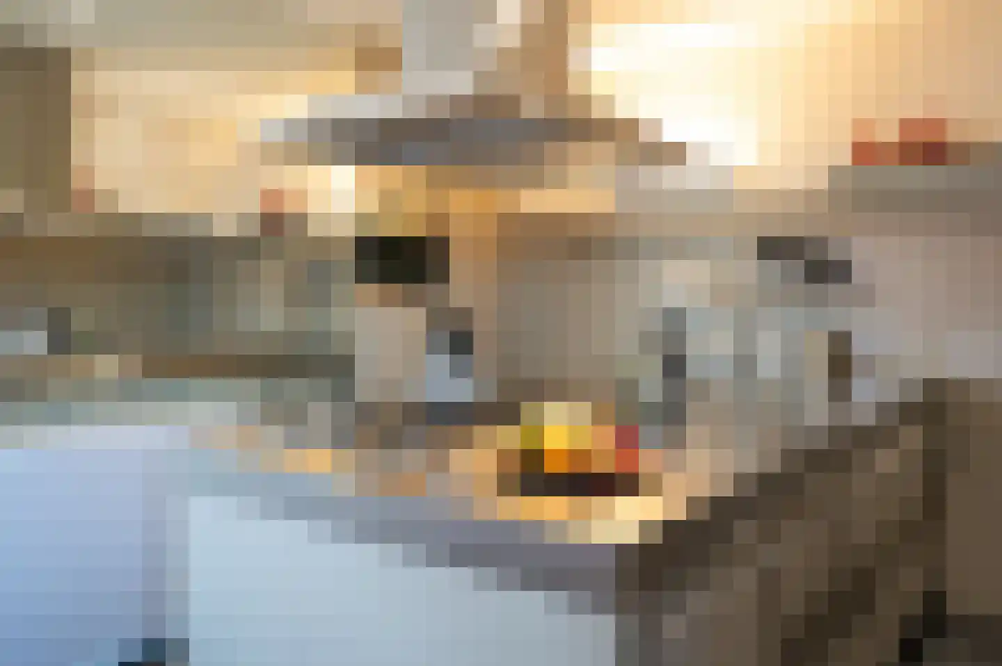 Knuvelderlaan 12 Eindhoven thumbnail 12