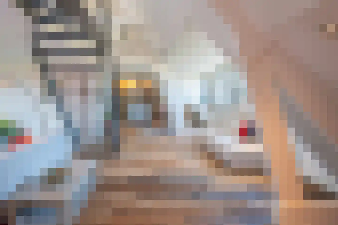 Knuvelderlaan 12 Eindhoven thumbnail 20