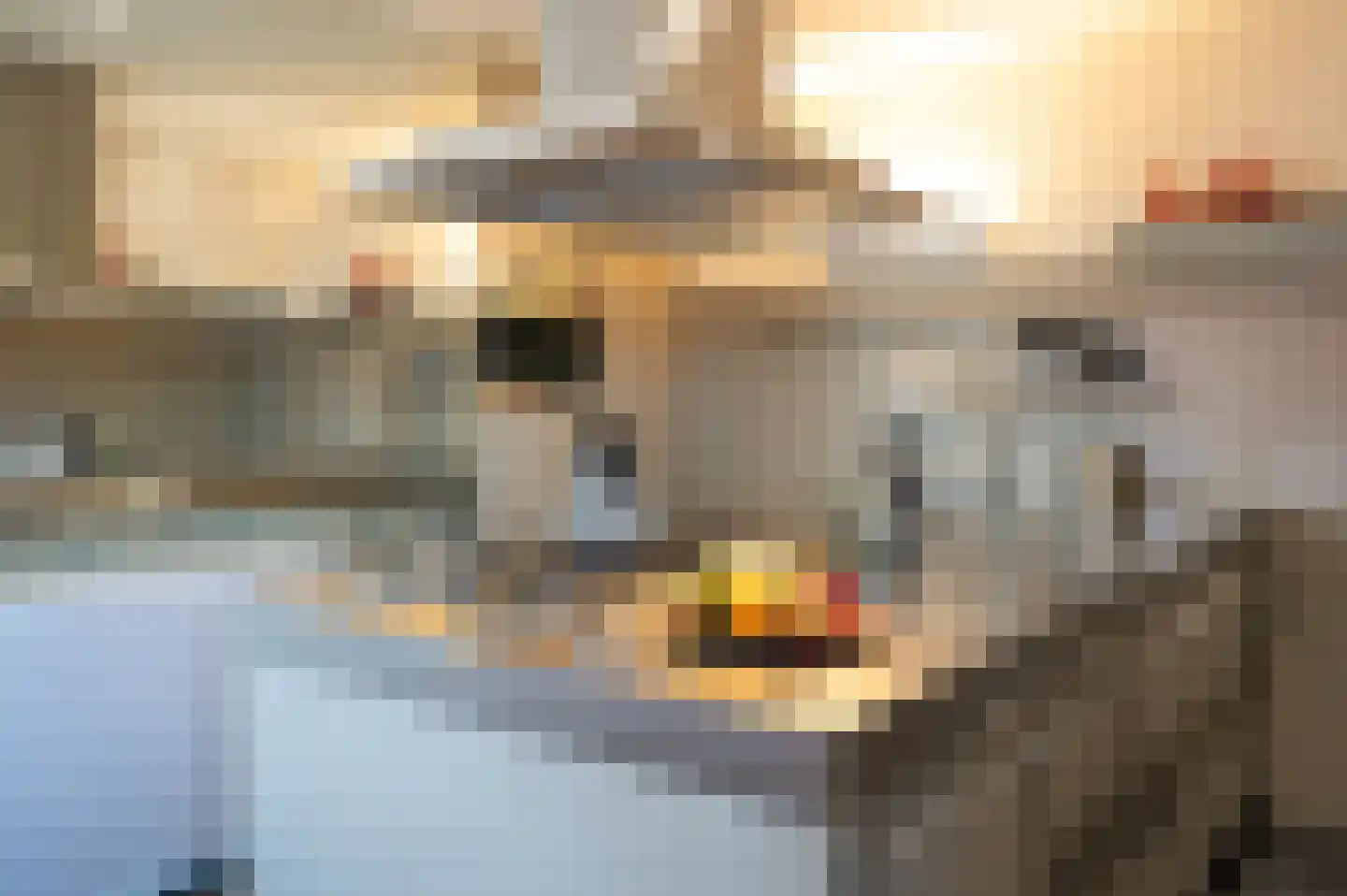 Knuvelderlaan 12 Eindhoven thumbnail 4