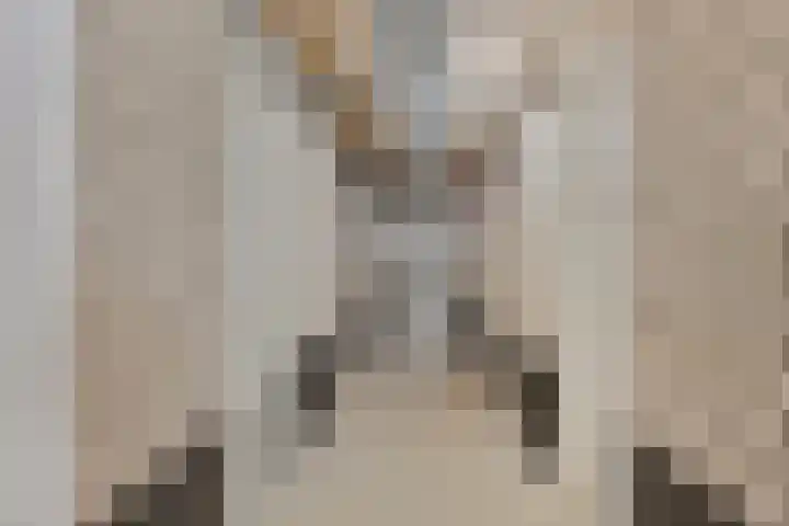 Knuvelderlaan 13 Eindhoven thumbnail 36
