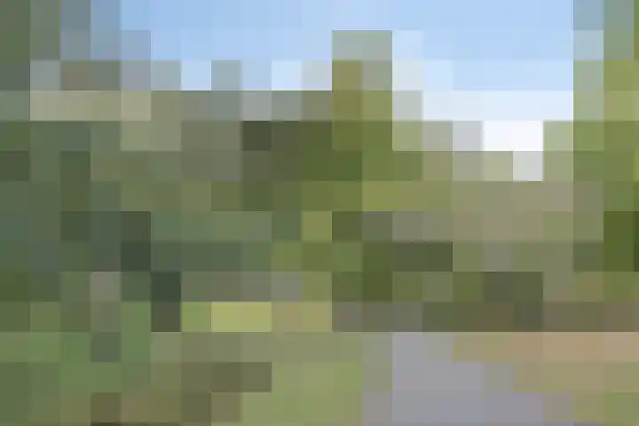 Knuvelderlaan 13 Eindhoven thumbnail 37