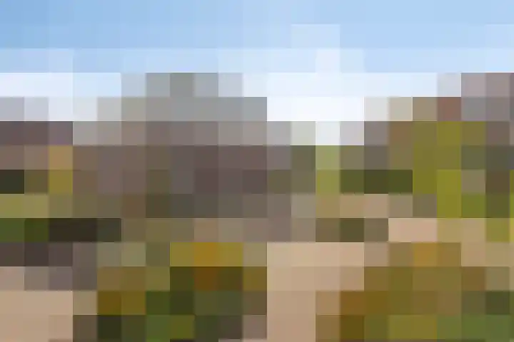 Knuvelderlaan 13 Eindhoven thumbnail 39