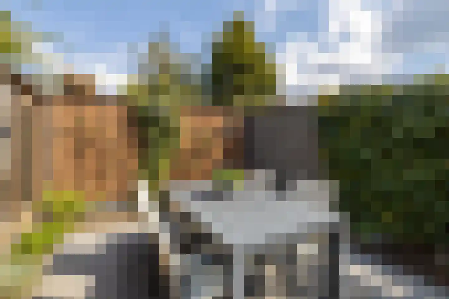 Ko Arnoldistraat 33 Hengelo thumbnail 30