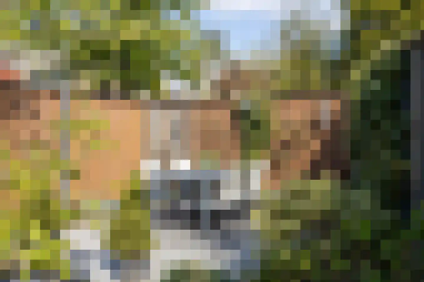 Ko Arnoldistraat 33 Hengelo thumbnail 31