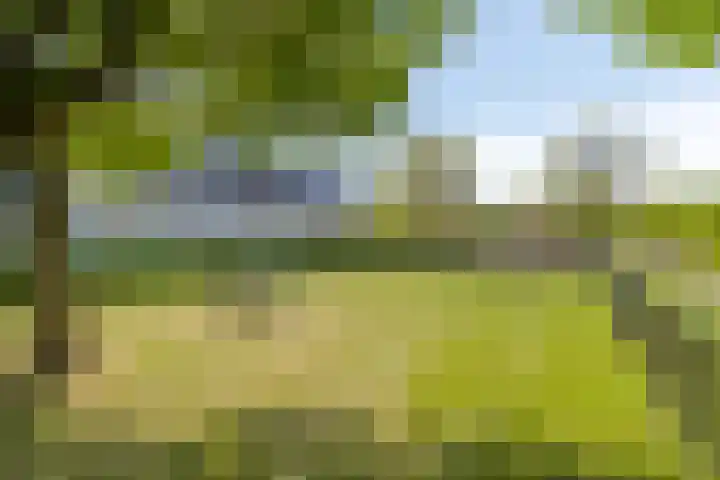 Ko Donckerlaan 14 Amstelveen thumbnail 18