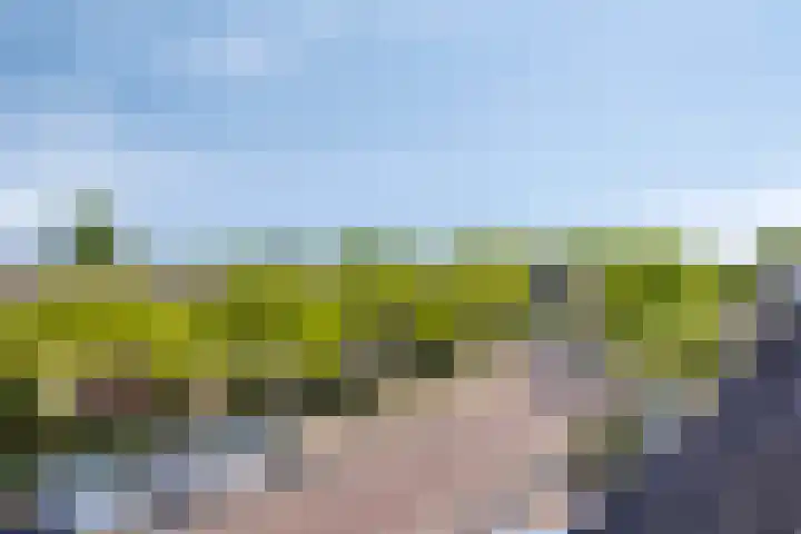 Ko Donckerlaan 14 Amstelveen thumbnail 21