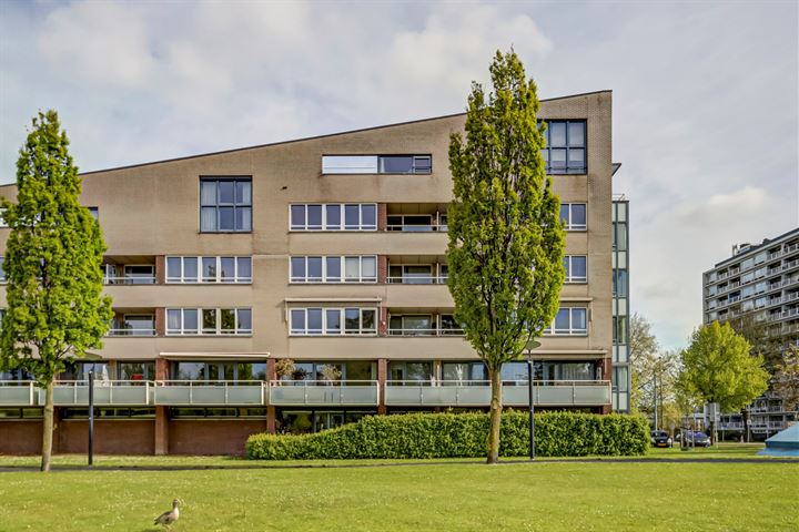 Ko Suurhofflaan 50 en Schiedam foto