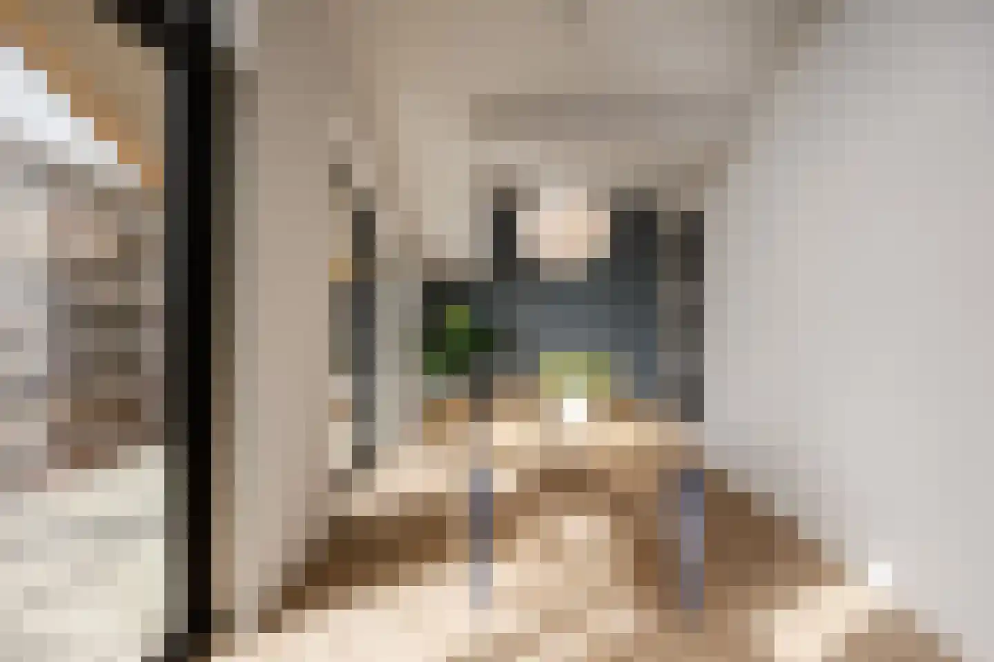Ko van Dijkhof 39 Amsterdam thumbnail 11