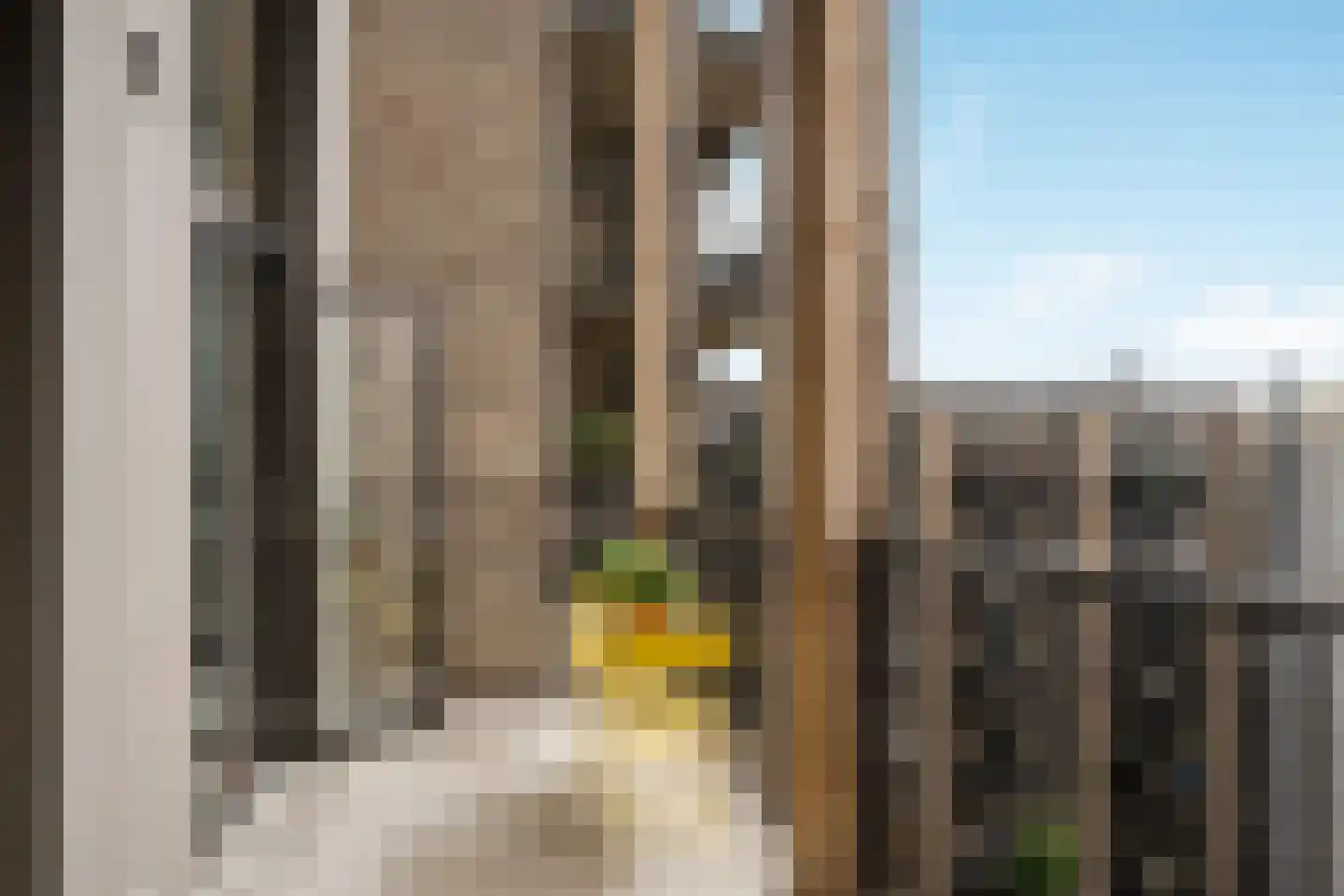 Ko van Dijkhof 39 Amsterdam thumbnail 13