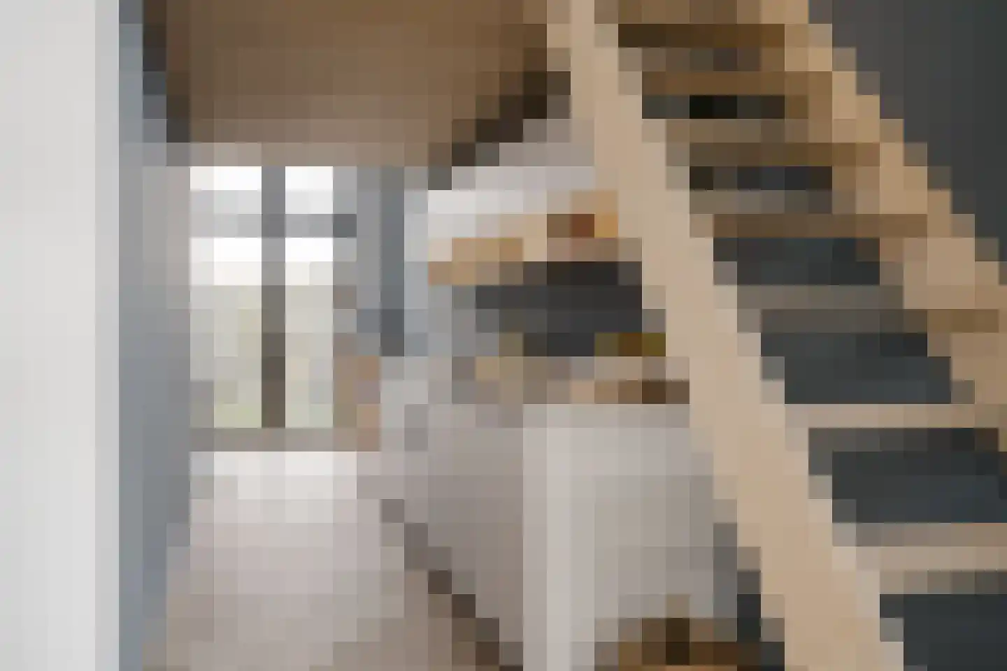 Ko van Dijkhof 39 Amsterdam thumbnail 15